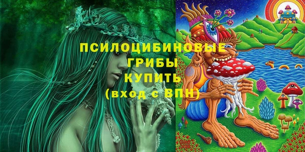 гашик Ахтубинск