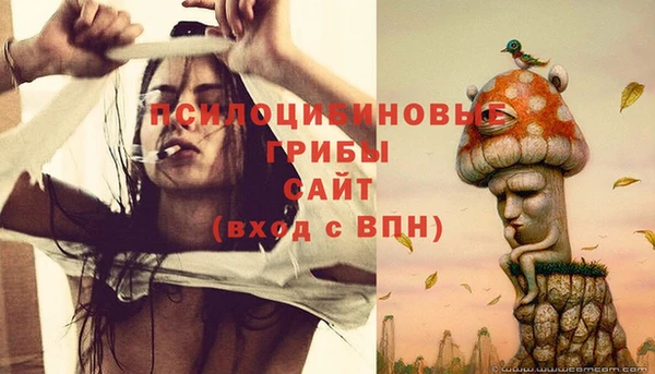 гашик Ахтубинск