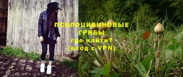 гашик Ахтубинск